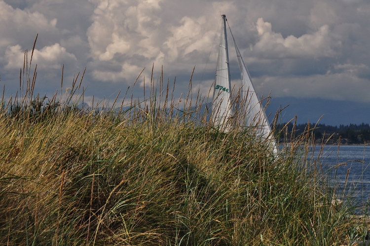 sailboat